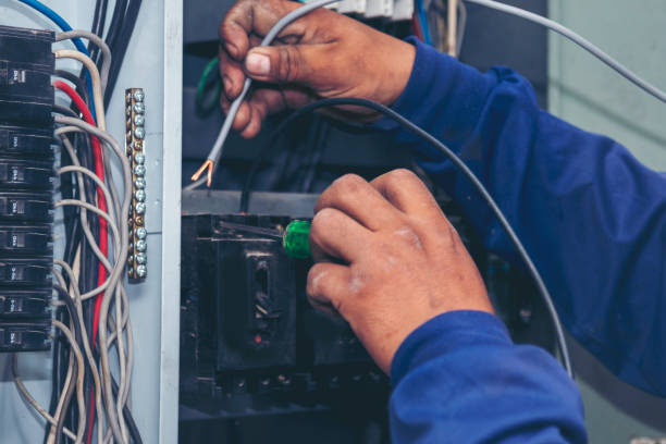 Best Electrician for Home Renovation  in Ravenna, MI